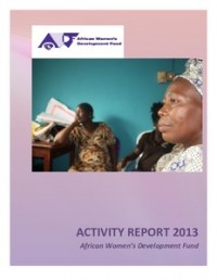 Image of Activity Report 2013